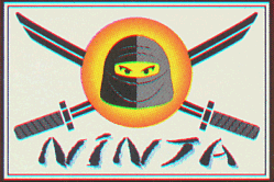 Ninja